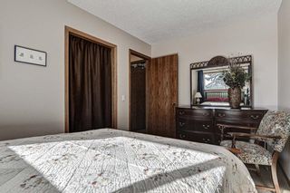 Photo 16: 311 Lynnview Way SE in Calgary: Ogden Detached for sale : MLS®# A1073491