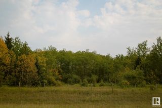 Photo 4: NW 27 60-14 W4: Rural Smoky Lake County Vacant Lot/Land for sale : MLS®# E4335744