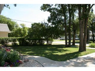 Photo 4: 55 Berrydale Avenue in WINNIPEG: St Vital Residential for sale (South East Winnipeg)  : MLS®# 1303750