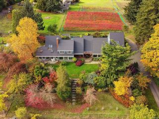 Photo 3: 6466 Oldfield Rd in Central Saanich: CS Saanichton House for sale : MLS®# 960828