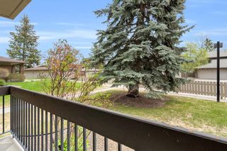 Photo 14: 214 860 Midridge Drive SE in Calgary: Midnapore Apartment for sale : MLS®# A2047108