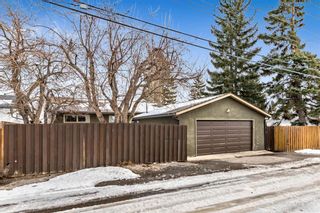 Photo 36: 9927 Maplecreek Drive SE in Calgary: Maple Ridge Detached for sale : MLS®# A1185086