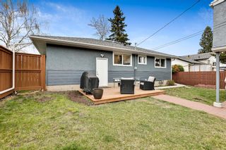 Photo 19: 31 Baker Crescent NW in Calgary: Brentwood Detached for sale : MLS®# A1219749