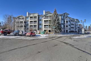 Main Photo: 306 35 Richard Court SW in Calgary: Lincoln Park Apartment for sale : MLS®# A2108645