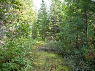 Photo 6: Lot 1 HEDSTROM ROAD in Crawford Bay: Vacant Land for sale : MLS®# 2467733