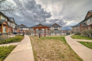 Photo 44: 65 Skyview Springs Circle NE in Calgary: Skyview Ranch Row/Townhouse for sale : MLS®# A2129104