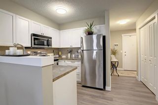 Photo 4: 2109 2600 66 Street NE in Calgary: Pineridge Apartment for sale : MLS®# A1142576
