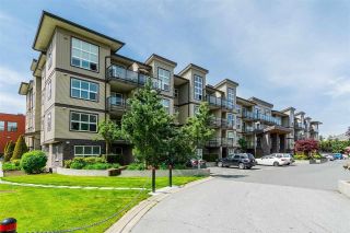 Photo 19: 423 30525 CARDINAL Avenue in Abbotsford: Abbotsford West Condo for sale in "Tamarind Westside" : MLS®# R2857336