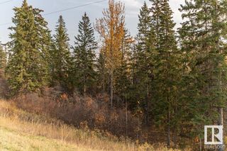 Photo 22: 6 51112 RGE RD 260: Rural Parkland County Vacant Lot/Land for sale : MLS®# E4316779
