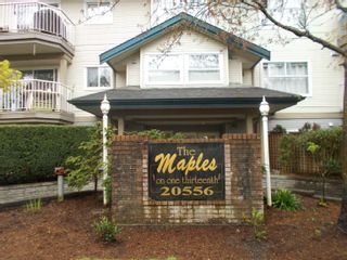 Photo 16: 102 20556 113 Avenue in Maple Ridge: Southwest Maple Ridge Condo for sale in "The Maples" : MLS®# R2678849