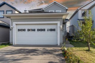 Main Photo: 83 Martha's Close NE in Calgary: Martindale Detached for sale : MLS®# A2003843