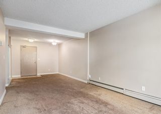 Photo 7: 7 3911 1 Street NE in Calgary: Highland Park Apartment for sale : MLS®# A1219732