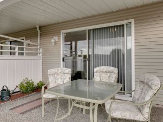 Photo 37: 61 1973 WINFIELD Drive in Abbotsford: Abbotsford East Townhouse for sale in "Belmont Ridge" : MLS®# R2733358