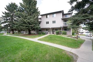 Photo 38: 42 3800 Fonda Way SE in Calgary: Forest Heights Row/Townhouse for sale : MLS®# A1243051
