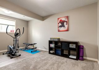 Photo 37: 120 Howse Terrace NE in Calgary: Livingston Detached for sale : MLS®# A1219316