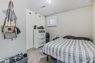 Photo 22: 703 36 Street NW in Calgary: Parkdale Detached for sale : MLS®# A2101688