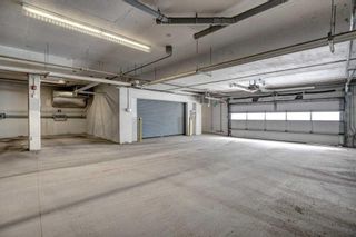 Photo 26: 305 3450 19 Street SW in Calgary: South Calgary Apartment for sale : MLS®# A2121898
