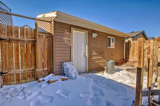 Photo 36: 261 Skyview Ranch Boulevard NE in Calgary: Skyview Ranch Detached for sale : MLS®# A2109080