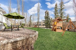 Photo 31: 426 Inverness Park SE in Calgary: McKenzie Towne Detached for sale : MLS®# A2041609