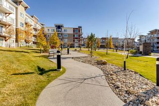 Photo 38: 3103 302 Skyview Ranch Drive NE in Calgary: Skyview Ranch Apartment for sale : MLS®# A2006897
