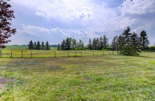 Photo 24: 262150 Range Road 20 in Rural Rocky View County: Rural Rocky View MD Detached for sale : MLS®# A2061153