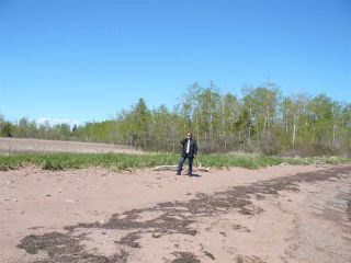 Photo 5: Lot 3 South Shore Road in Malagash: 103-Malagash, Wentworth Vacant Land for sale (Northern Region)  : MLS®# 202018772