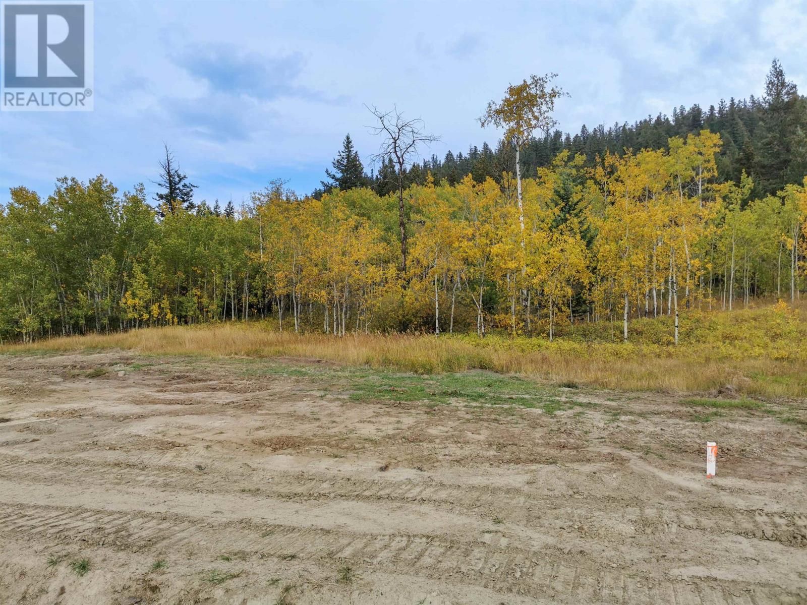 Main Photo: LOT 33 BLACKSTOCK ROAD in 100 Mile House: Vacant Land for sale : MLS®# R2741432