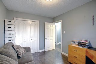 Photo 17: 4614 70 Street in Calgary: Bowness Detached for sale : MLS®# A1193841