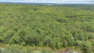 Photo 7: Lot 4 Maple Ridge Drive in White Point: 406-Queens County Vacant Land for sale (South Shore)  : MLS®# 202315175