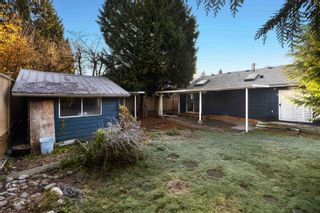 Photo 15: 2391 KINGS Avenue in West Vancouver: Dundarave House for sale : MLS®# R2876927