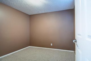 Photo 33: 191 Silver Springs Way NW: Airdrie Detached for sale : MLS®# A1202537