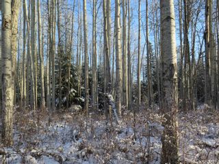 Photo 15: GLACIER GULCH RD ROAD in Smithers: Smithers - Rural Land for sale (Smithers And Area (Zone 54))  : MLS®# R2633357