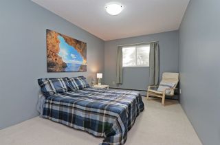 Photo 11: 167 200 WESTHILL Place in Port Moody: College Park PM Condo for sale : MLS®# R2346422
