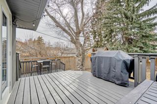 Photo 44: 735 35 Street NW in Calgary: Parkdale Detached for sale : MLS®# A2039316