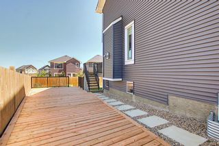 Photo 42: 163 Nolancrest Rise NW in Calgary: Nolan Hill Detached for sale : MLS®# A1125952
