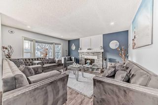 Photo 3: 303 Temple Close NE in Calgary: Temple Detached for sale : MLS®# A2113673