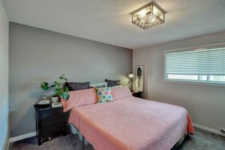 Photo 11: 736 118 Avenue SW in Calgary: Canyon Meadows Detached for sale : MLS®# A2072668