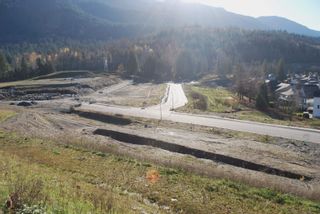 Photo 4: 52855 BUNKER Road: Rosedale Land for sale in "The Gardens" (East Chilliwack)  : MLS®# R2834741