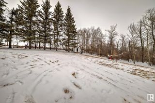 Photo 31: 24416 TWP RD 551: Rural Sturgeon County House for sale : MLS®# E4372465