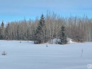 Photo 16: TWP RD 613A RGE RD 234: Rural Westlock County Rural Land/Vacant Lot for sale : MLS®# E4276161
