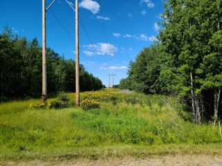 Photo 23: On Range Road 52: Rural Parkland County Commercial Land for sale : MLS®# A1252782