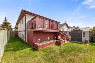 Photo 24: 13 Canoe Close SW: Airdrie Detached for sale : MLS®# A2055750