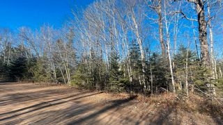 Photo 2: Lot JFN-1 (Portion of) Highway 12 in Forest Home: Kings County Vacant Land for sale (Annapolis Valley)  : MLS®# 202226931