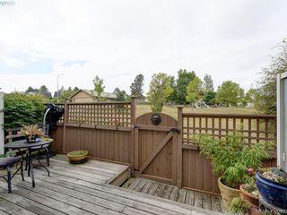 Photo 22: 6 3356 Whittier Ave in VICTORIA: SW Rudd Park Row/Townhouse for sale (Saanich West)  : MLS®# 824505