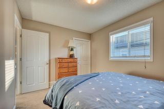 Photo 23: 27 SKYVIEW SPRINGS Cove NE in Calgary: Skyview Ranch Detached for sale : MLS®# A1053175