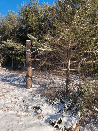 Photo 5: Lot 6 Lakeview Drive in Lake La Rose: Annapolis County Vacant Land for sale (Annapolis Valley)  : MLS®# 202300543