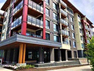 Photo 3: 410 3581 Ross Drive in Vancouver: University VW Condo for sale (Vancouver West)  : MLS®# R2291533