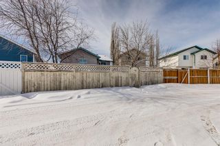 Photo 26: 1720 Big Springs Way SE: Airdrie Detached for sale : MLS®# A2030615