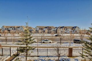 Photo 38: 212 250 New Brighton Villas SE in Calgary: New Brighton Apartment for sale : MLS®# A2013280