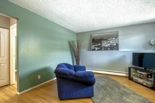 Photo 9: 3 11415 8 Street SW in Calgary: Southwood Apartment for sale : MLS®# A2044953